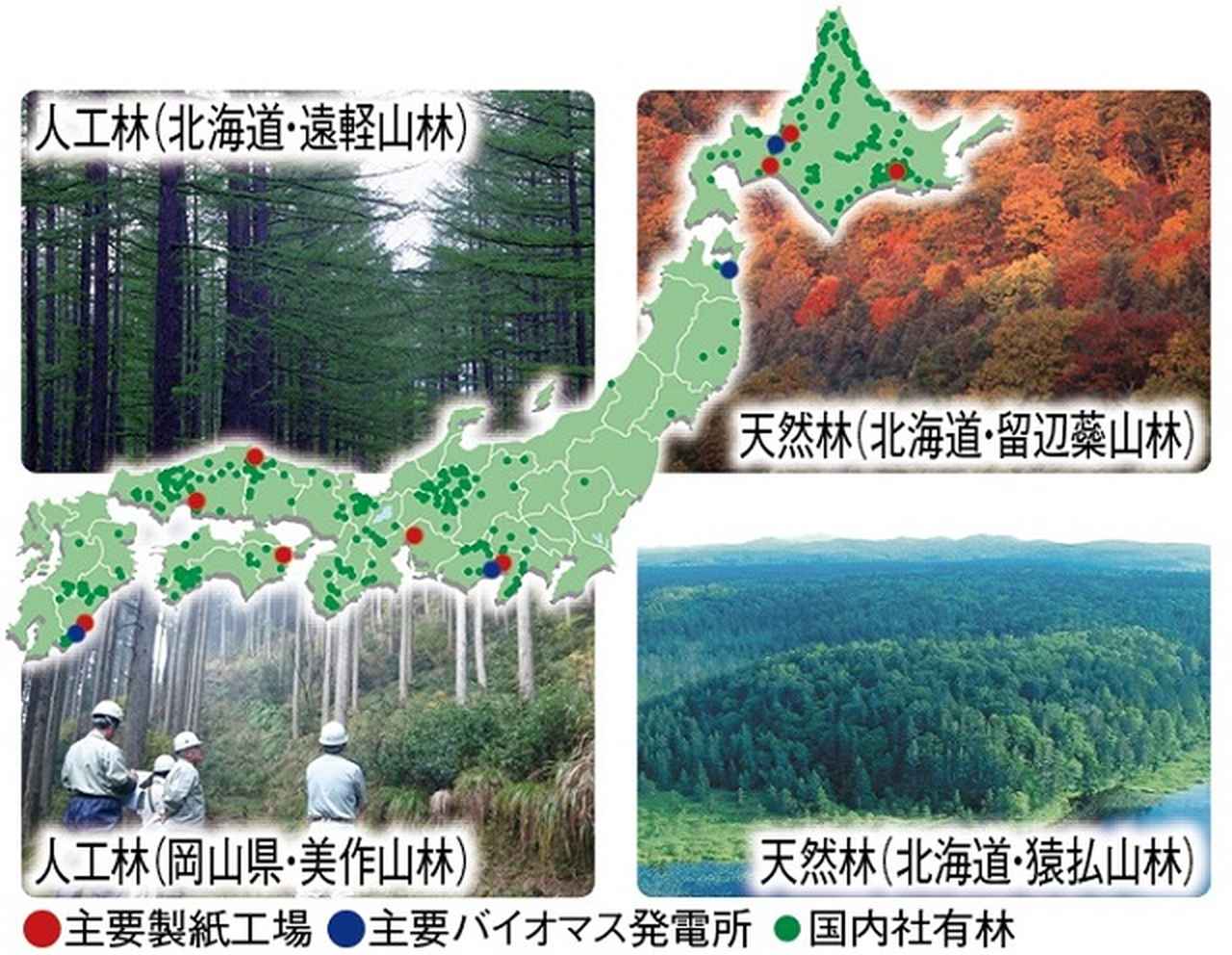 画像4: １日限定の特別感！あるくイベントツアー／ハイキング編のご紹介【ハイキング・ウォーキングの旅】