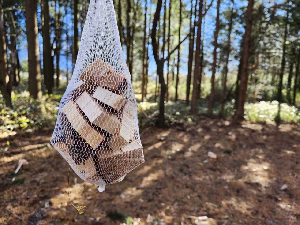 画像: 檜風呂に使える間伐材のプレゼント（イメージ）