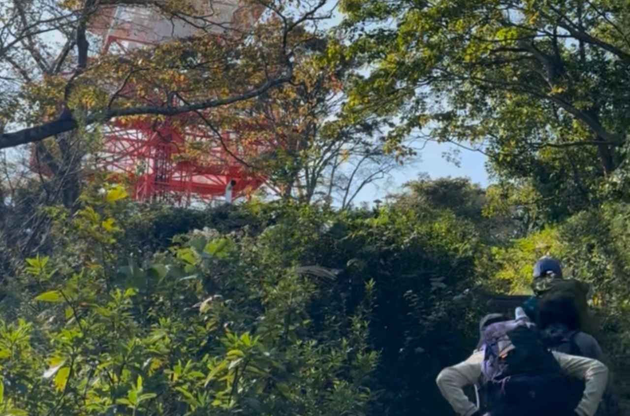 画像4: 登山道はこんな感じです