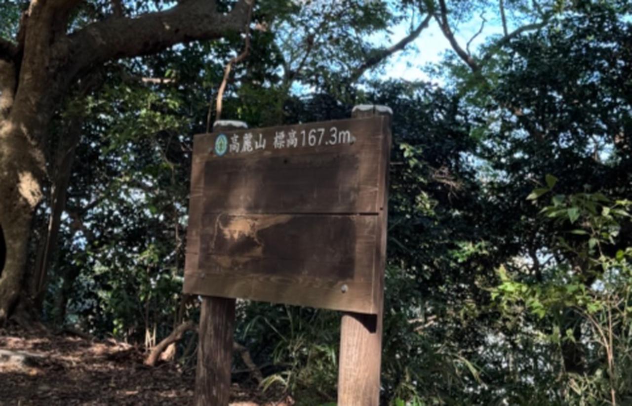 画像2: 登山道はこんな感じです