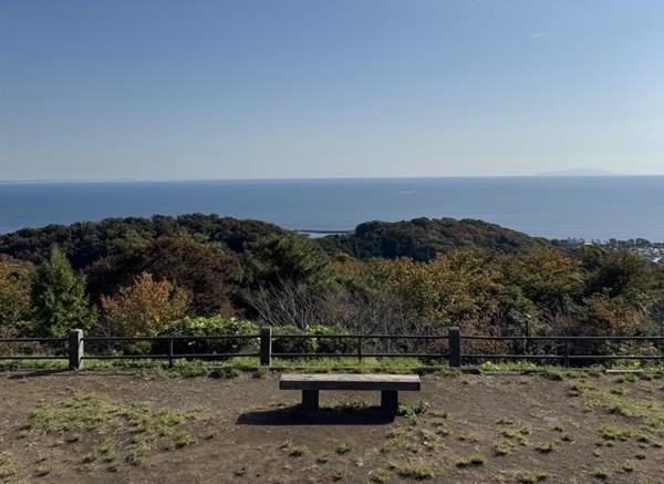 画像6: 登山道はこんな感じです