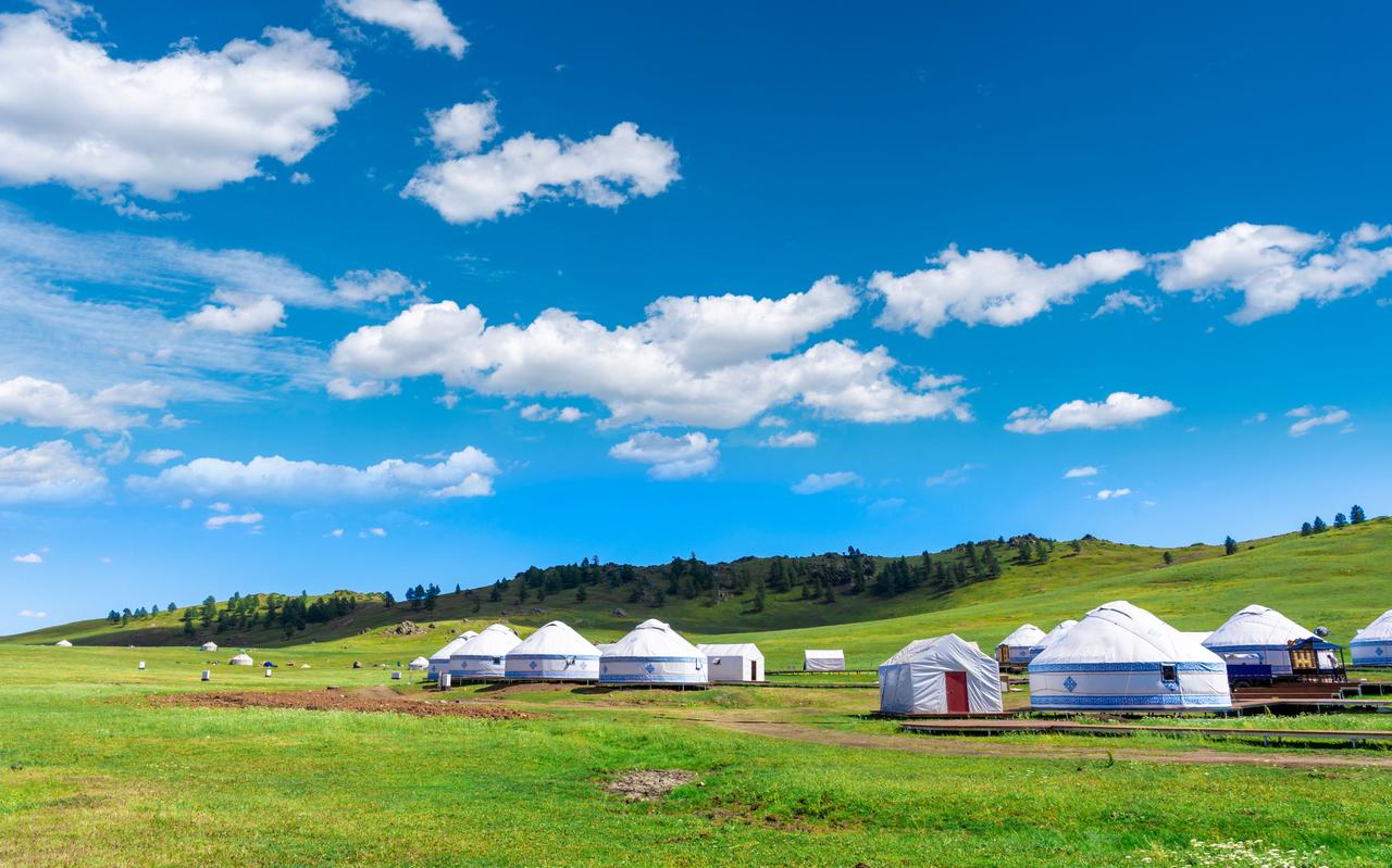 画像: ゲル（イメージ）※複数施設があり、当画像は一例です。
