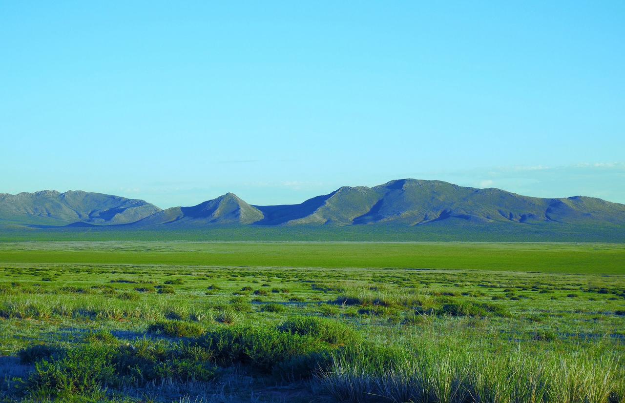 画像1: 果てしない草原に咲く花、満天の星。五感がよろこぶモンゴルへ——