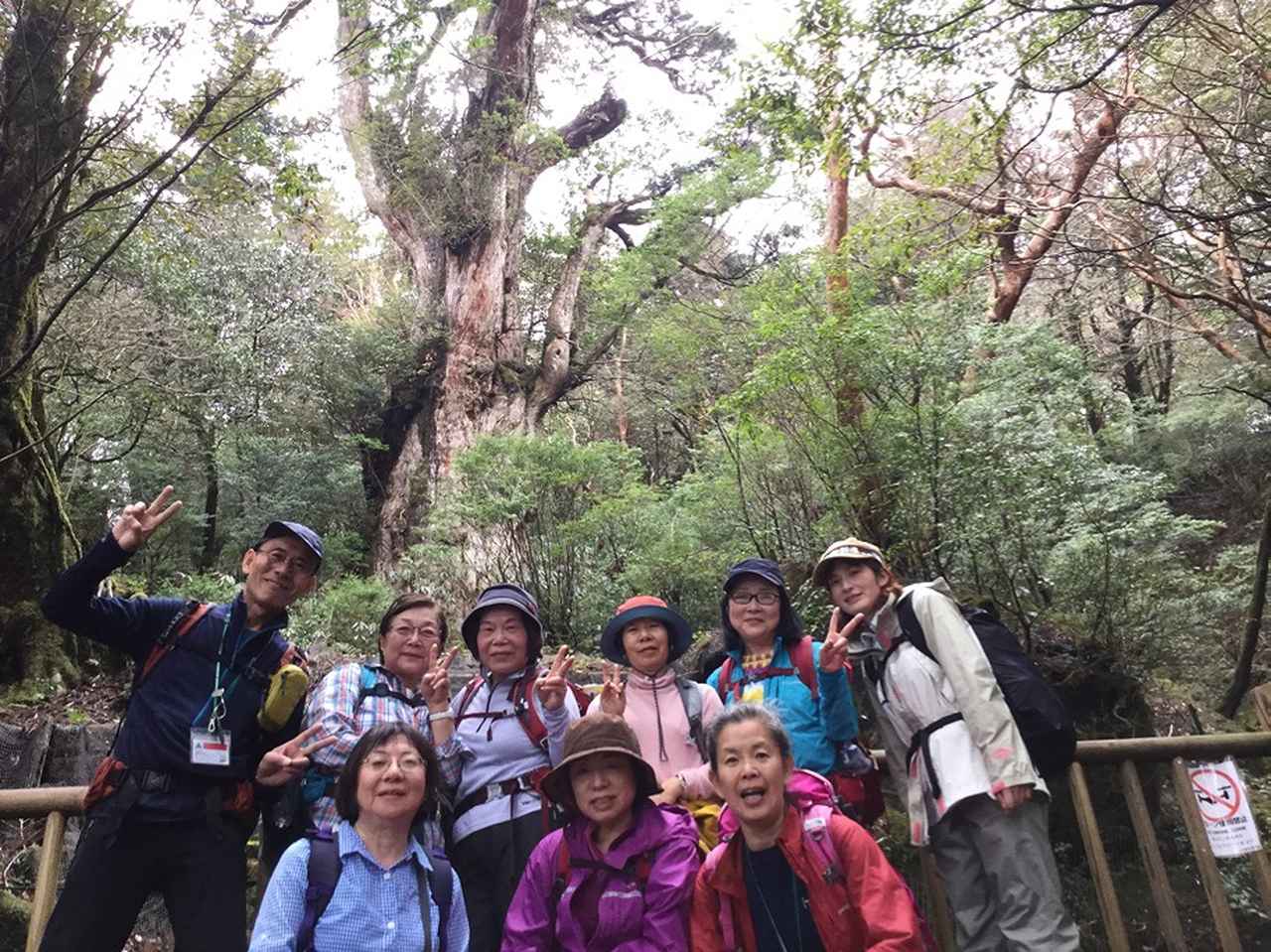 画像: 最終回・縄文杉の前でパチリ!