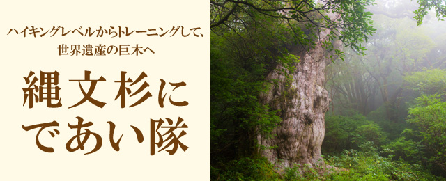 画像: 縄文杉にであい隊ツアー・旅行【関東発】│クラブツーリズム