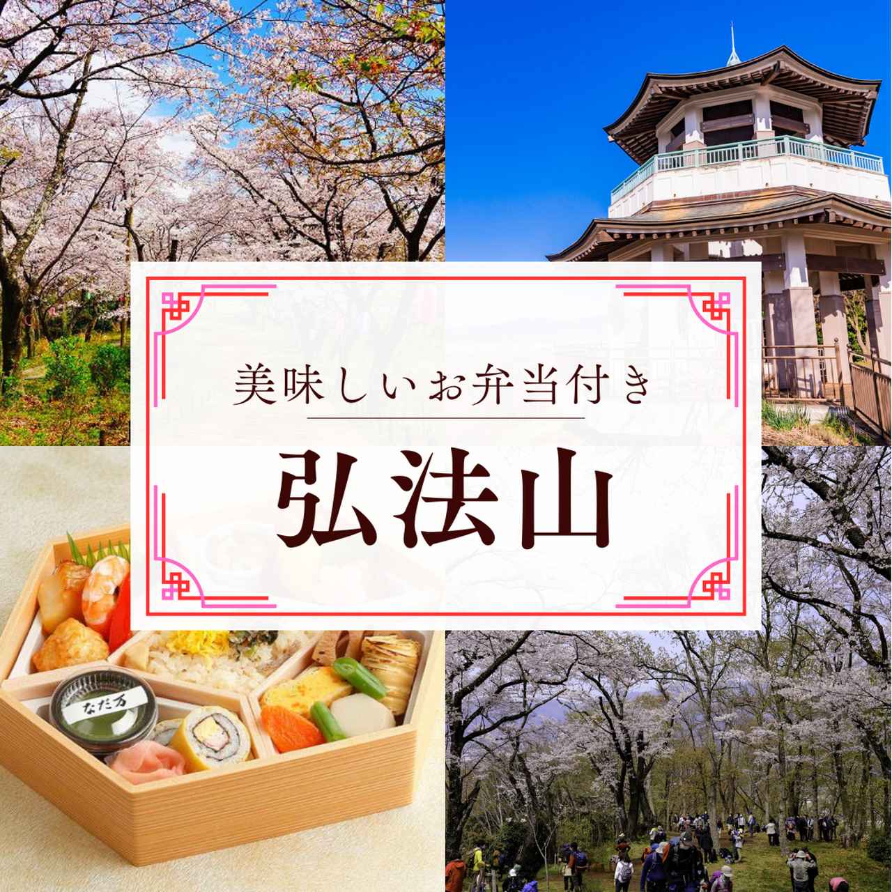 画像1: 私でも歩けるかも？“春のゆる山旅”
迷ったらコレ！担当者おすすめ！お花見登山5選