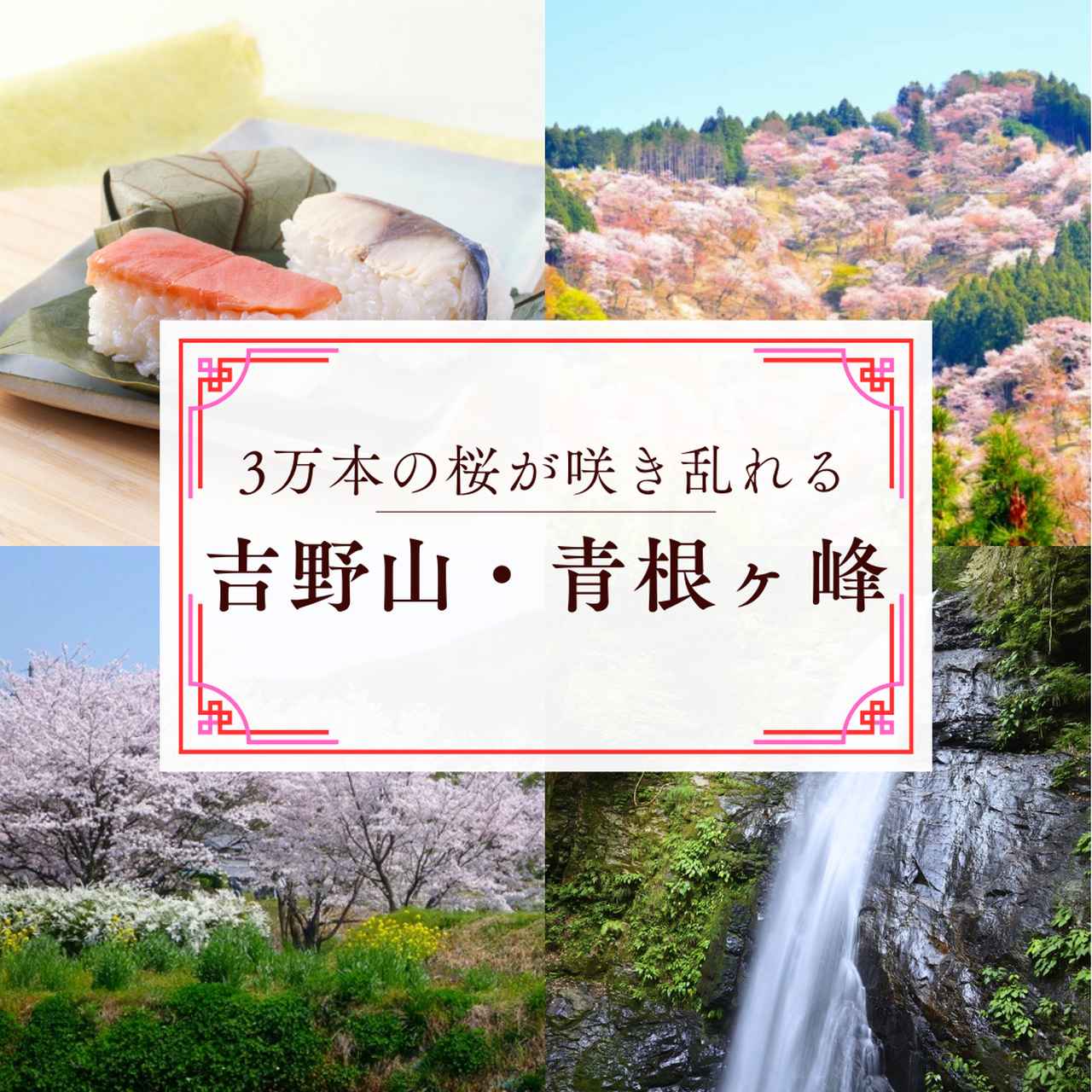 画像3: 私でも歩けるかも？“春のゆる山旅”
迷ったらコレ！担当者おすすめ！お花見登山5選