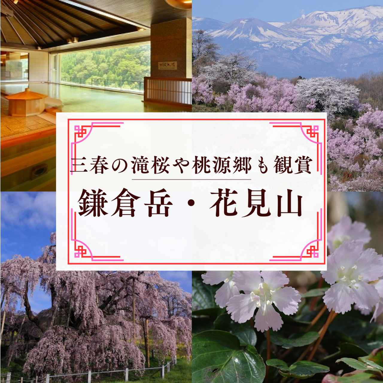 画像5: 私でも歩けるかも？“春のゆる山旅”
迷ったらコレ！担当者おすすめ！お花見登山5選