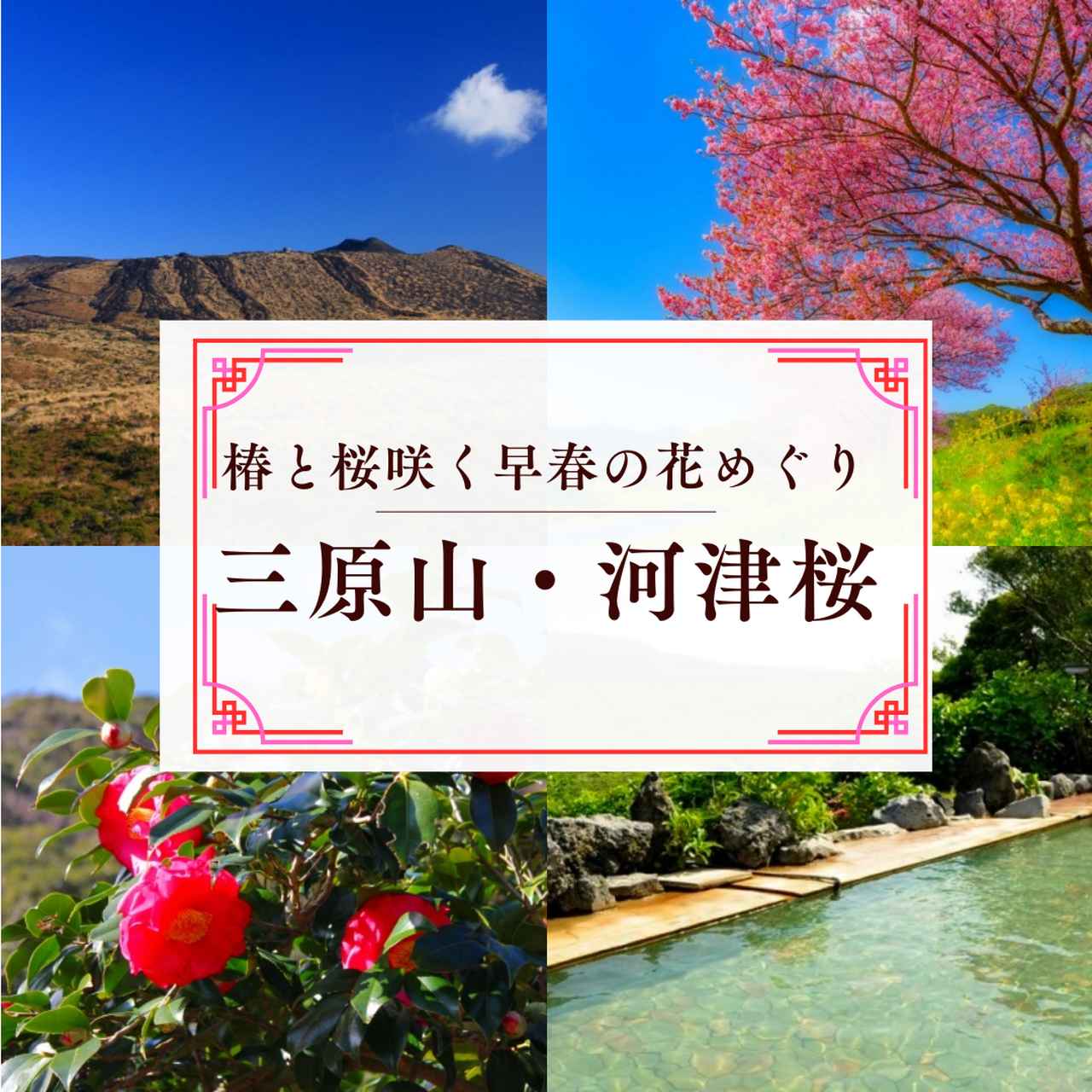 画像4: 私でも歩けるかも？“春のゆる山旅”
迷ったらコレ！担当者おすすめ！お花見登山5選