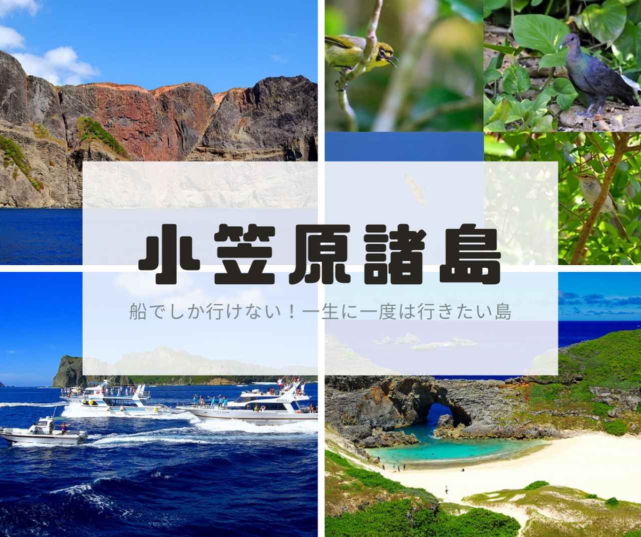 画像4: 新しい魅力を発見?歩いて満喫
おすすめ島歩きスポット10選!