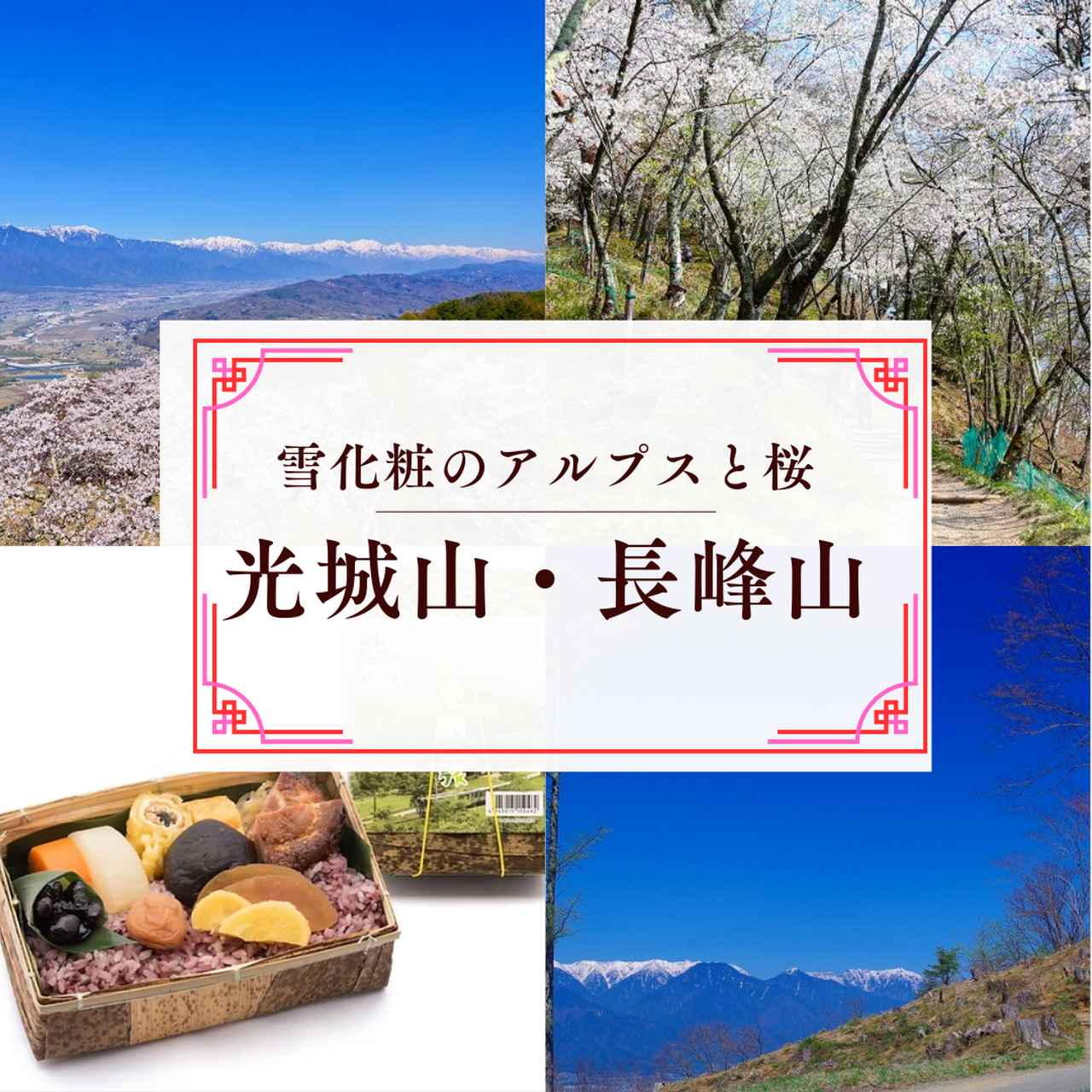 画像2: 私でも歩けるかも？“春のゆる山旅”
迷ったらコレ！担当者おすすめ！お花見登山5選