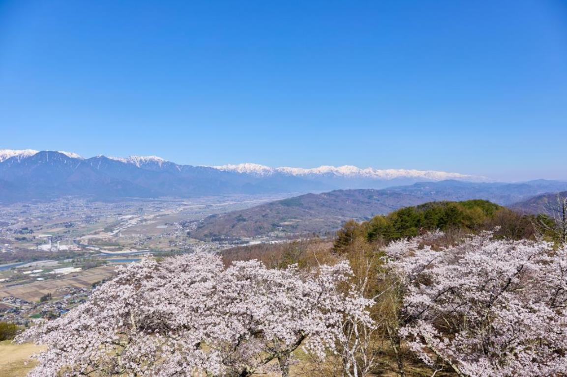 画像: ＜登山初級A（縦走）＞『雪化粧のアルプスを見渡す桜の名所をあるく　光城山～長峰山縦走　日帰り』【新宿・立川・八王子出発】｜クラブツーリズム