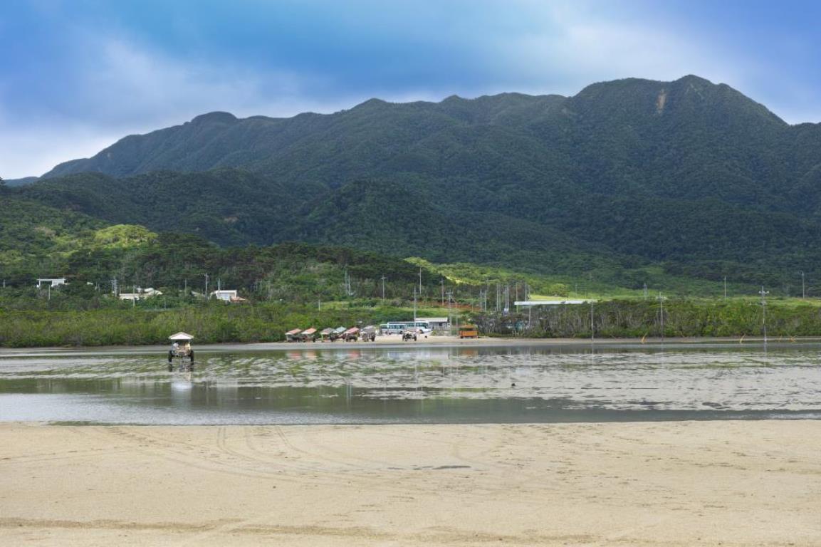 画像: <ハイク入門/ハイク初級/登山入門/登山初級A>『ナイトサファリや星空観賞も! 選べるプランで満喫する八重山諸島ジャングルトレッキング 4日間』【羽田出発】|クラブツーリズム