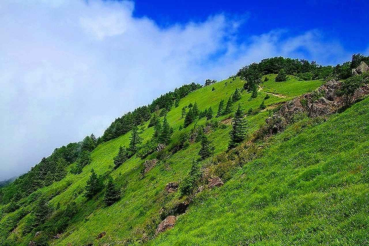 画像: 第5回「大菩薩嶺」※イメージ