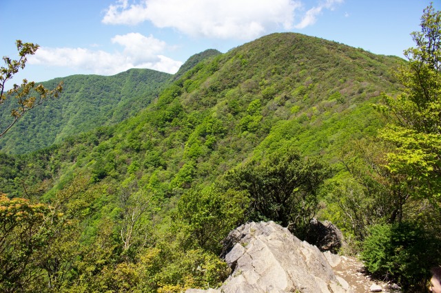 画像: <登山中級A>『伊豆半島最高峰 日本百名山・天城山 日帰り』【東京・品川・新横浜出発】|クラブツーリズム