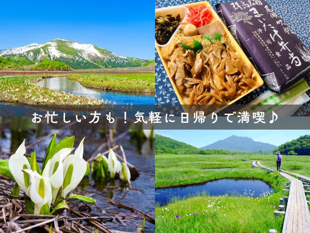 画像: <ハイク初級>『気軽に日帰りで! ガイドとめぐる尾瀬ハイキング 約5時間滞在』【東京出発】|クラブツーリズム