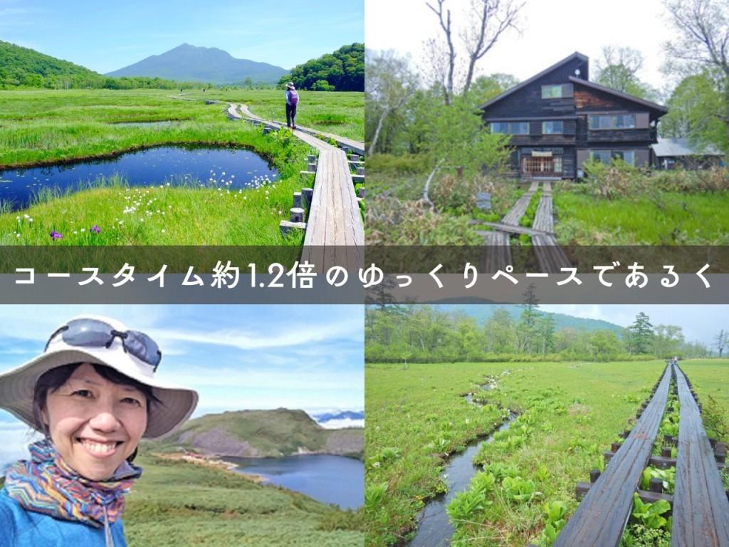 画像: <ハイク初級>『尾瀬国立公園内宿泊で尾瀬にたっぷり約24時間滞在!心ゆくまで尾瀬ヶ原ゆっくりハイキング 2日間』【東京出発】|クラブツーリズム