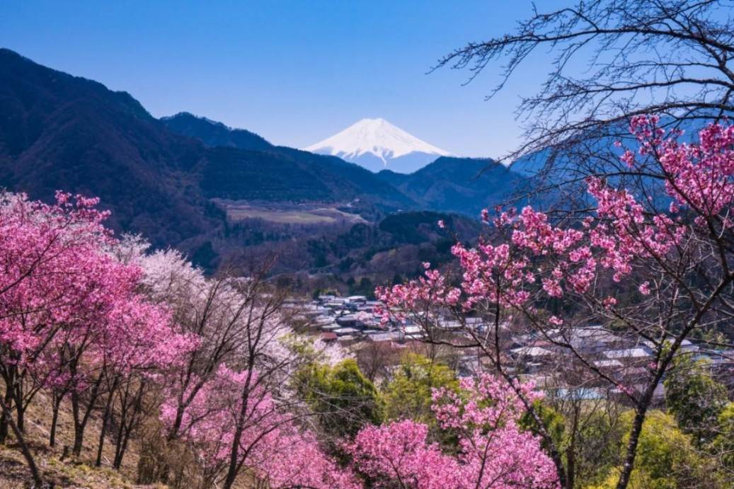 画像: お伊勢山 ※富士山は天候により見られない場合があります