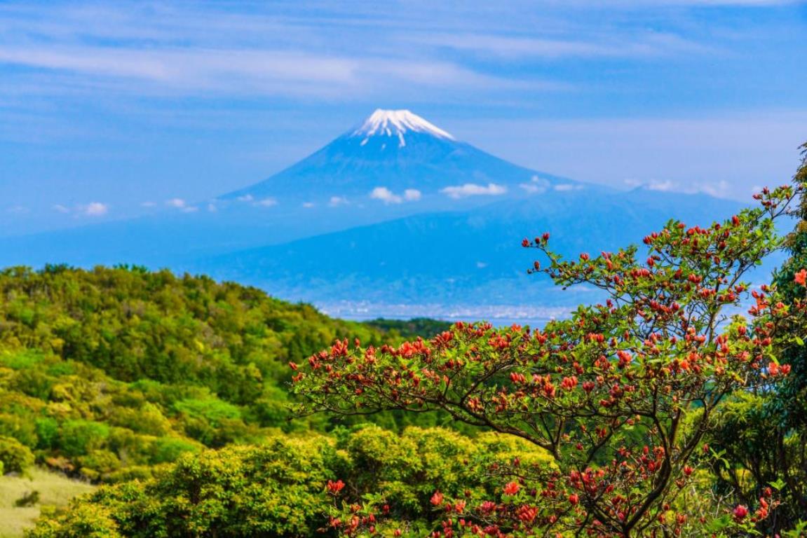 画像: 八巻枝美ガイド同行！映え写真部　～スマホで撮る絶景風景～｜クラブツーリズム