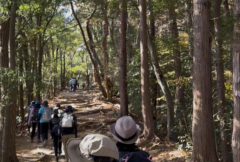 画像1: 登山道はこんな感じです