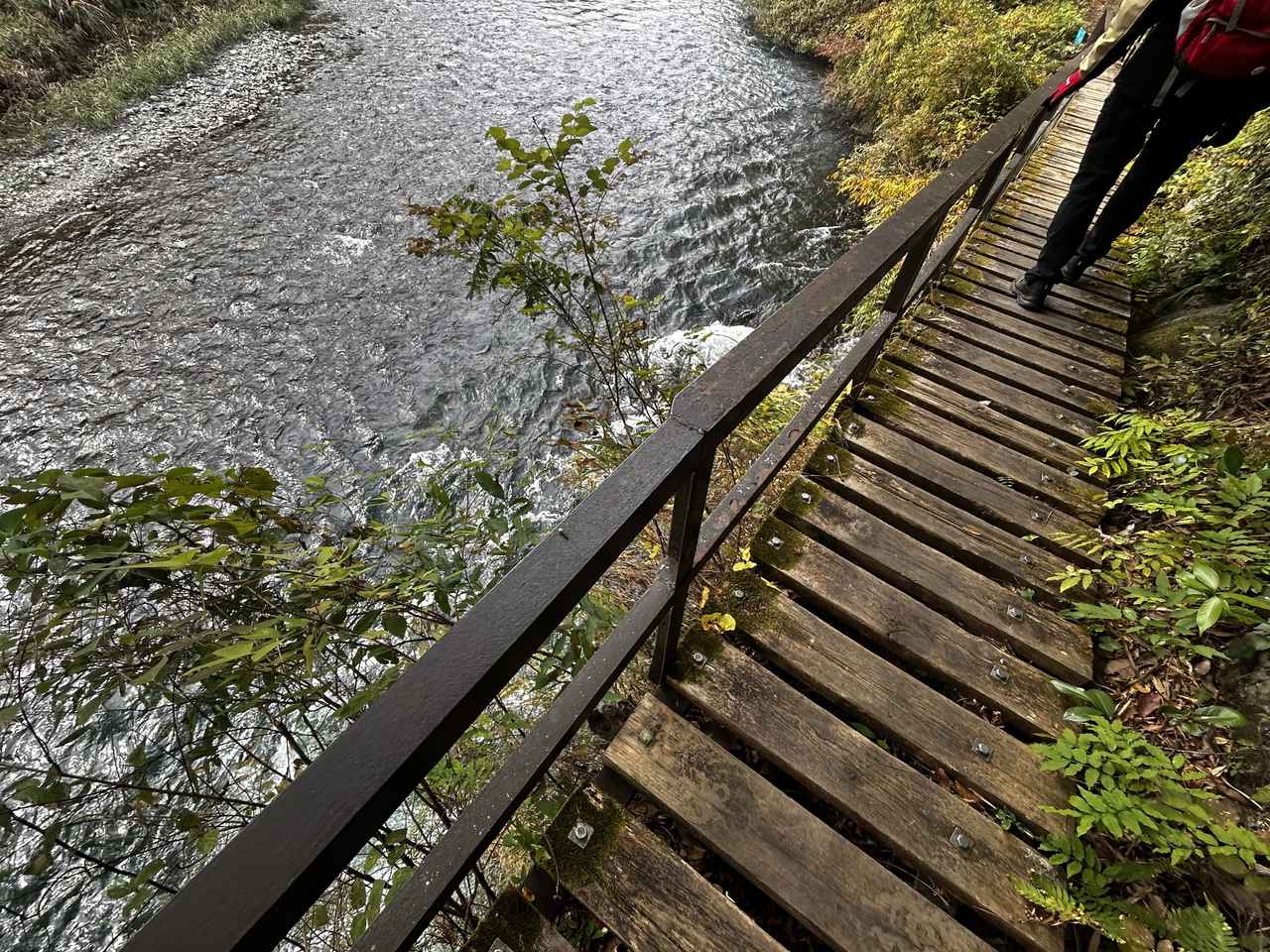 画像: 御岳渓谷遊歩道