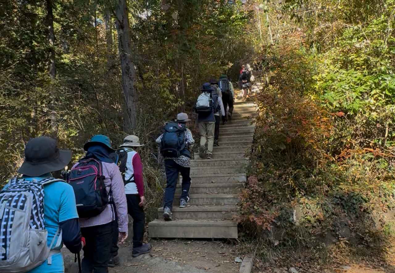 画像2: 登山道はこんな感じです