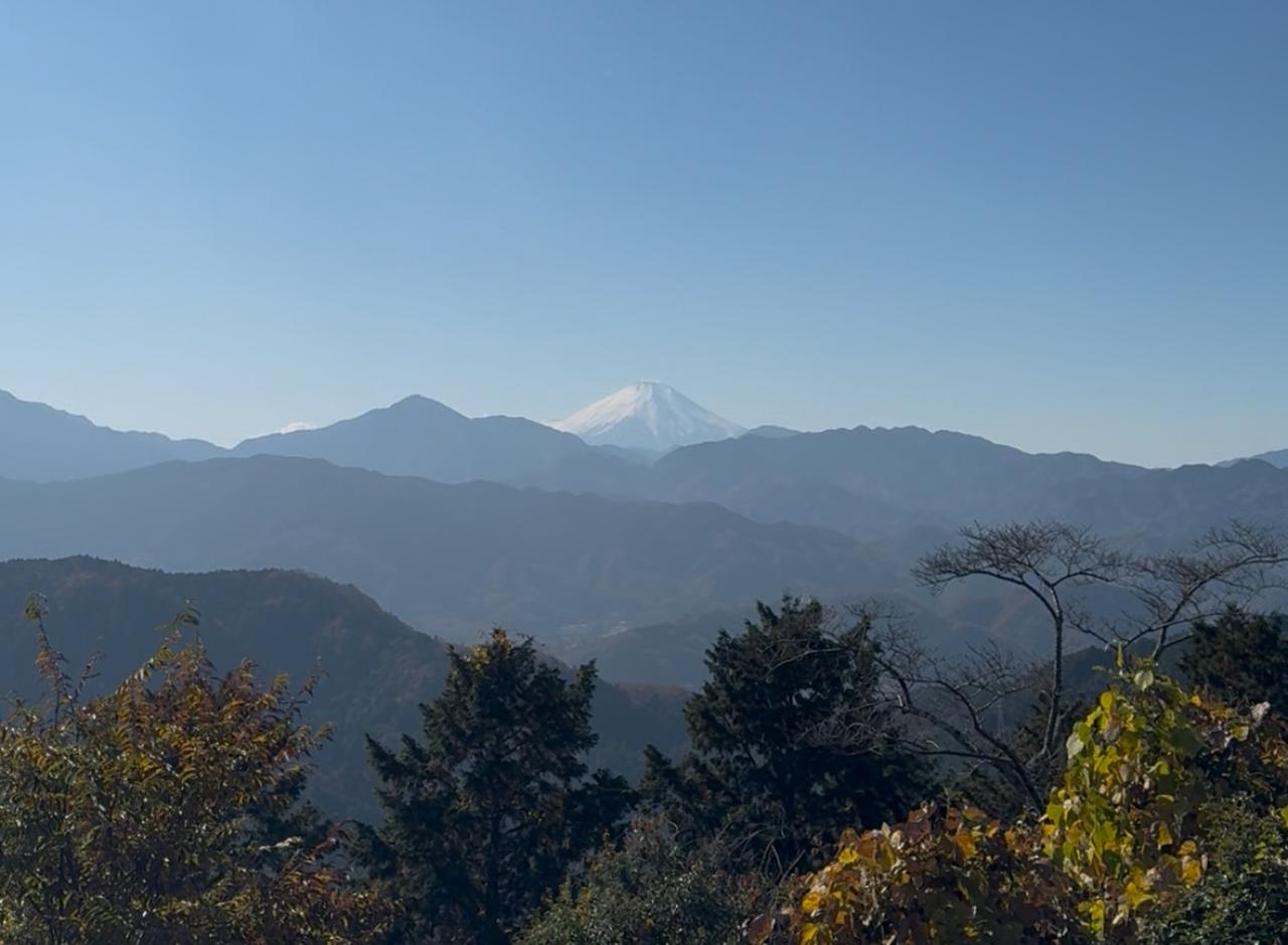 画像3: 登山道はこんな感じです