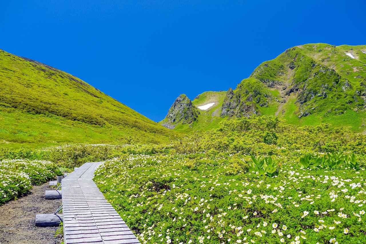 画像: ▲秋田駒ヶ岳（1,637m）