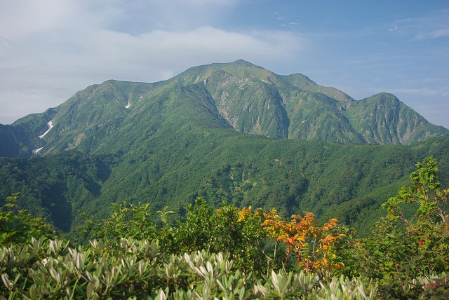 画像: ▲越後駒ヶ岳（2,003ｍ）