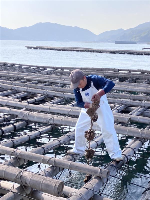 画像3: DAY 2|日生(解散16:00頃)