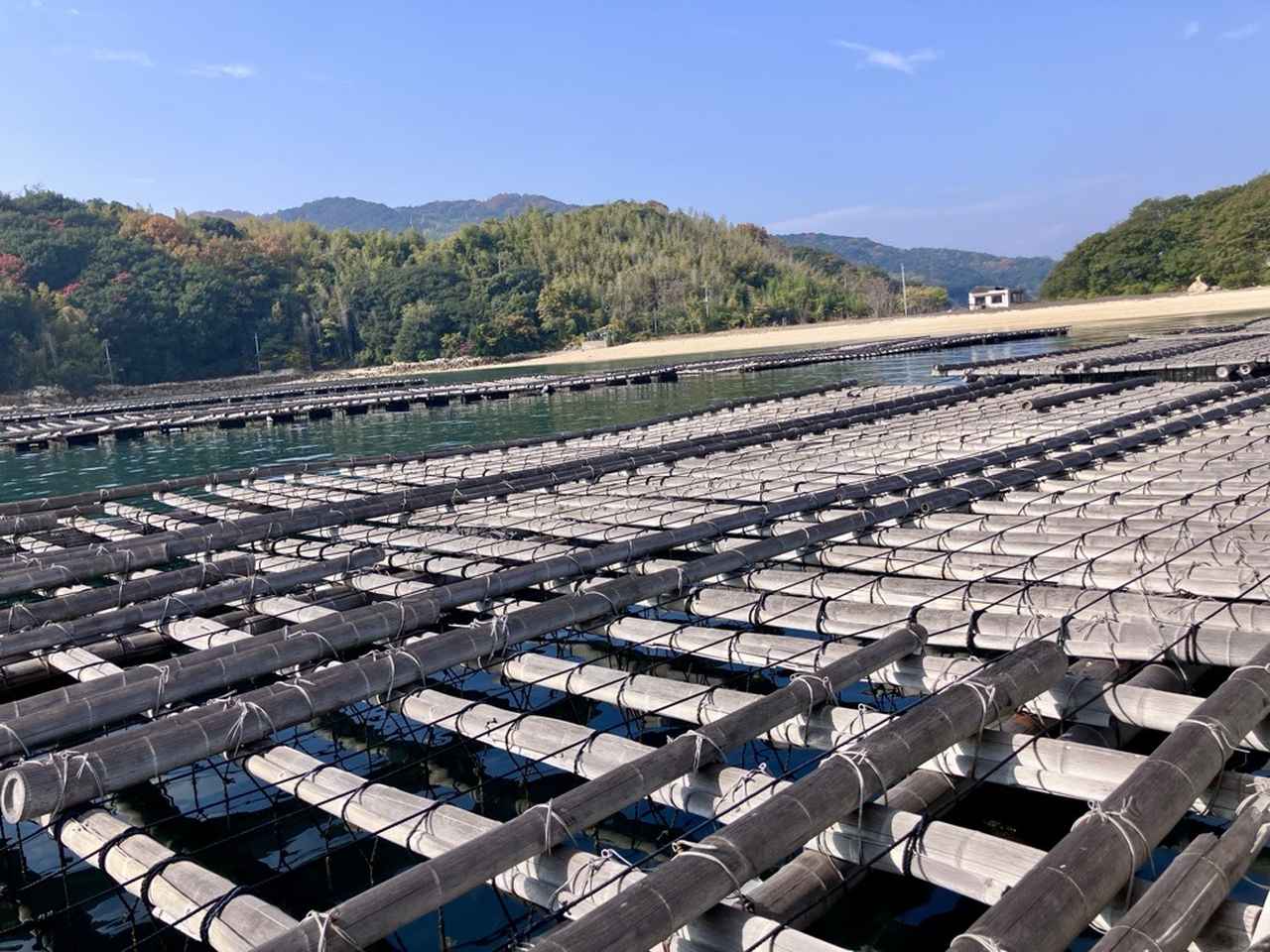 画像: 瀬戸内海・岡山の牡蠣のふるさとを、源流の里山から海まで辿る。 2日間のプチレンジャー体験で自然の循環を体感しよう