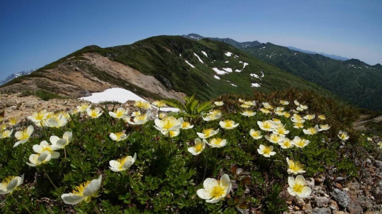 画像: 始めよう！北海道の名山旅