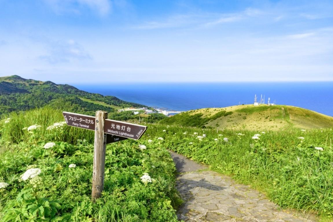 画像: はじめての利尻島・礼文島