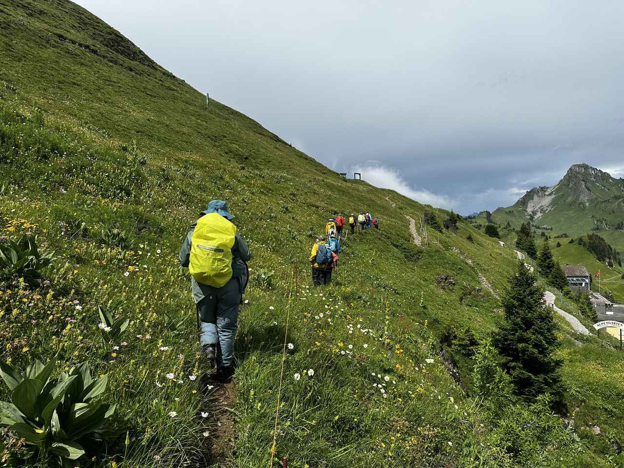 画像4: 【4日目】グリンデルワルト～シーニゲプラッテ