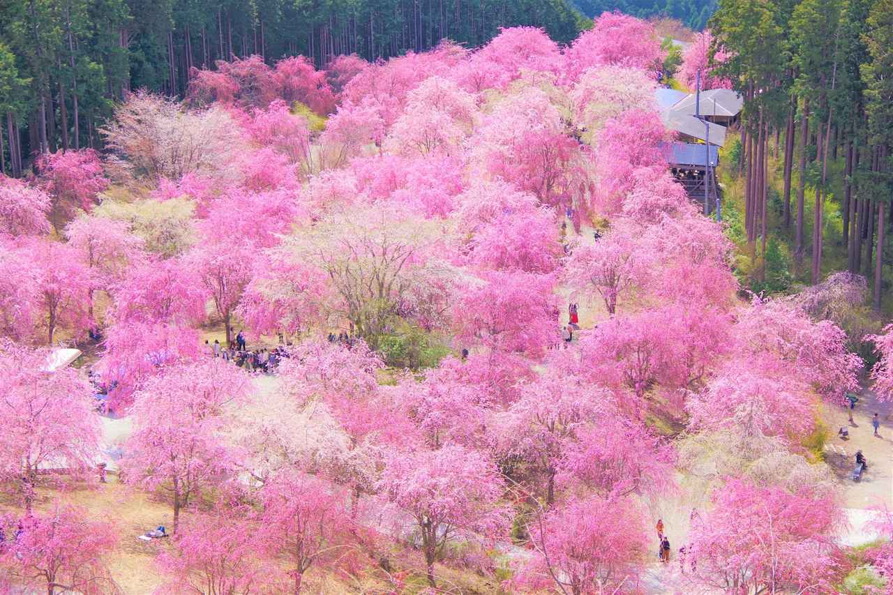 画像: 高見の郷（イメージ）