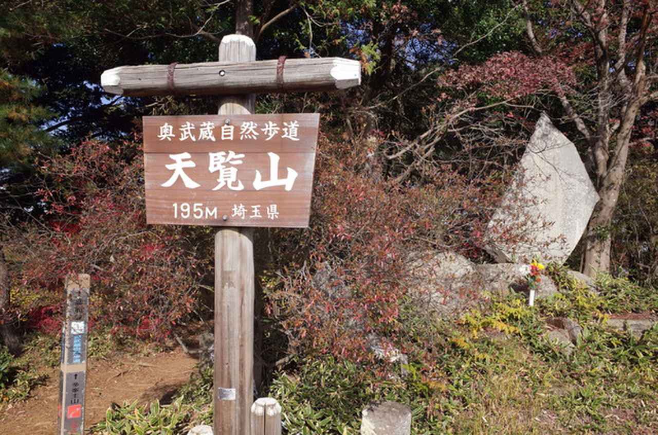 画像: 天覧山山頂