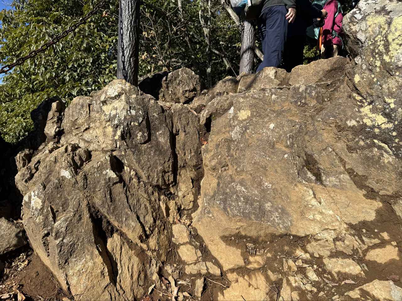 画像: 天覧山手前の岩場