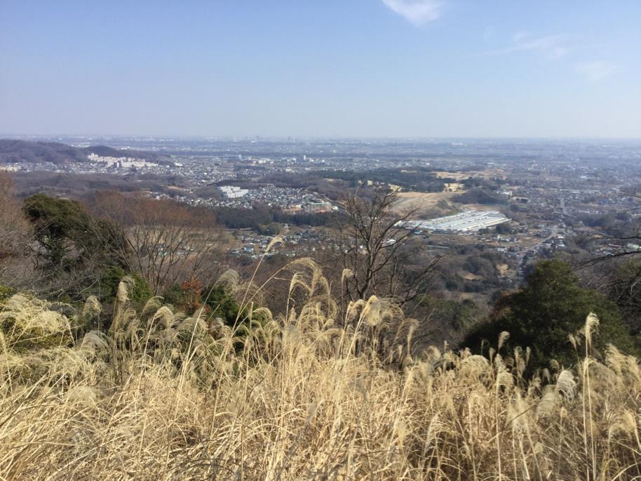 画像: 丹沢白山から見た景色