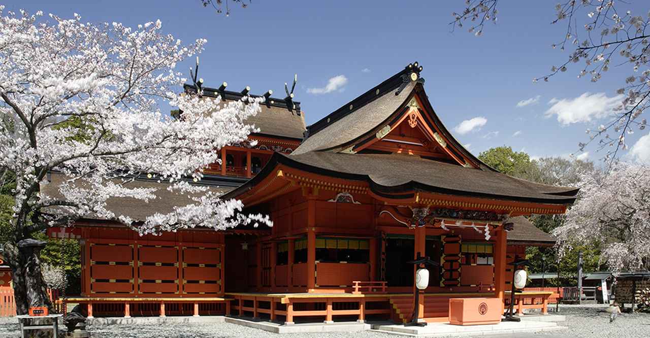 画像: 富士山すそ野ぐるり一周ウォーク～魅力あふれる世界文化遺産・富士のすそ野をあるく～│クラブツーリズム