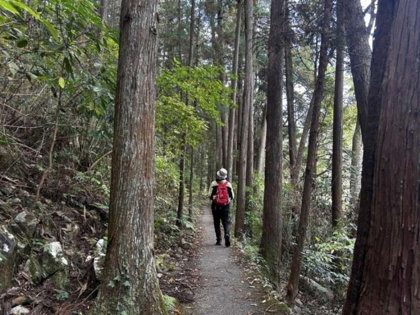 画像1: ＜ハイク初級＞『心と身体をリフレッシュ！御岳渓谷で楽しむ新緑の森林浴ツアー』【JR軍畑駅集合】｜クラブツーリズム