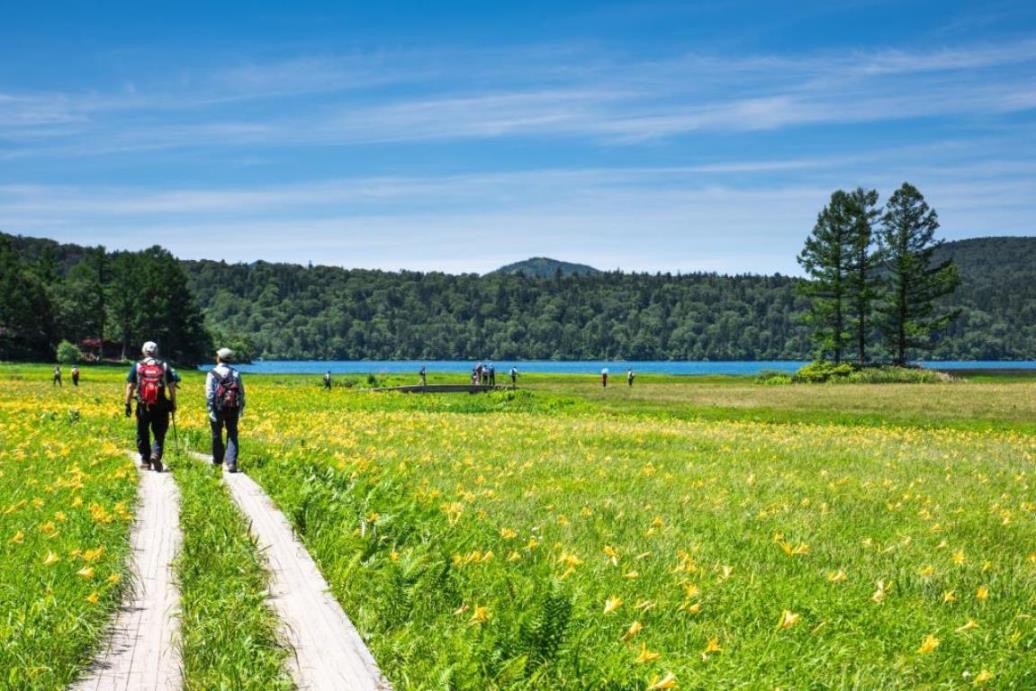 画像: ＜ハイク初級＞ 『福島県側から楽しむ尾瀬　大江湿原・尾瀬沼ハイキング』【選べる出発地】｜クラブツーリズム