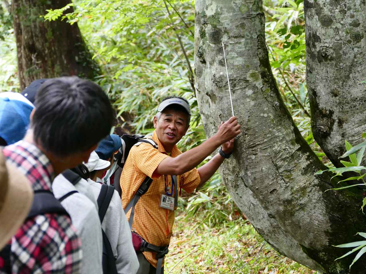 画像4: 歩くからこそ見られる、息を呑む美しい絶景　尾瀬へ＜ハイキング・ウォーキングの旅＞