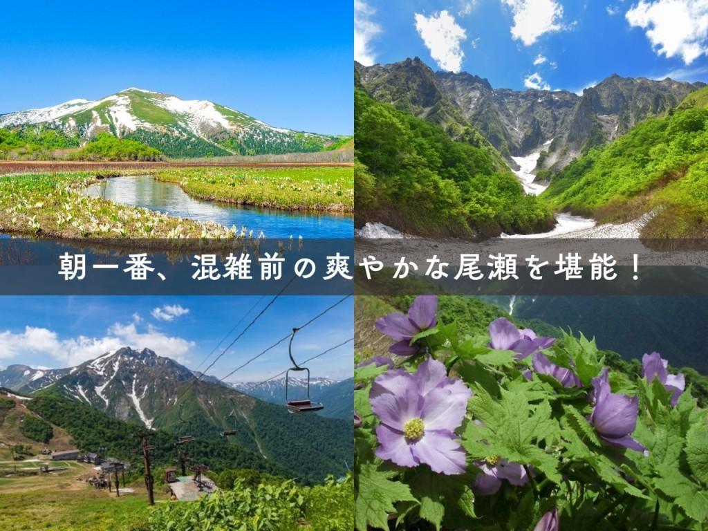 画像: ＜ハイク初級＞『朝一番の尾瀬へ！たっぷり約7時間滞在と谷川岳天神平・一ノ倉沢ハイキング 2日間』【東京出発】｜クラブツーリズム