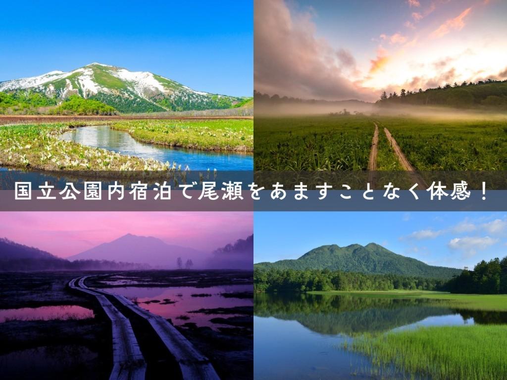 画像: ＜登山入門＞『尾瀬をあますことなく体験できる決定版！尾瀬通り抜けトレッキング　2日間』【東京出発】｜クラブツーリズム