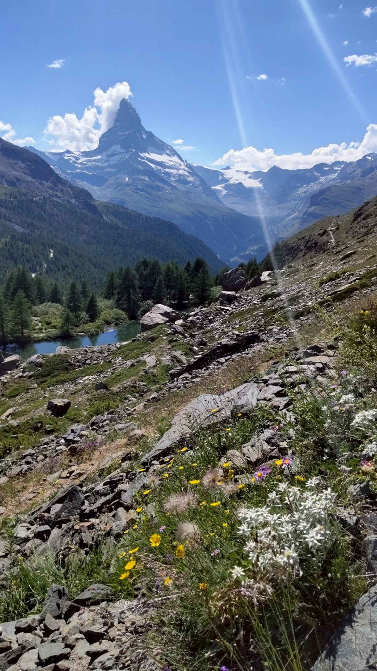 画像2: 【7日目】リッフェルベルグ～ツェルマット～テッシュ～シャモニー（フランス）