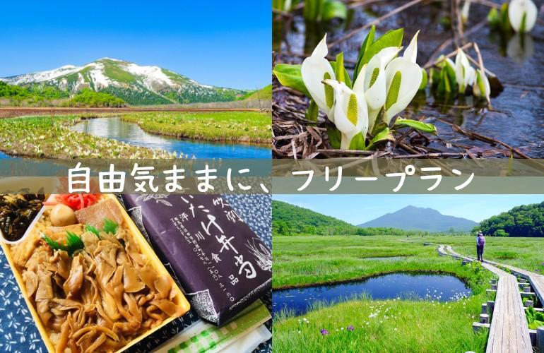 画像: ＜ハイク初級＞『あなたの町からバスで行く　自由気ままに尾瀬ヶ原フリープラン』【選べる出発地】｜クラブツーリズム