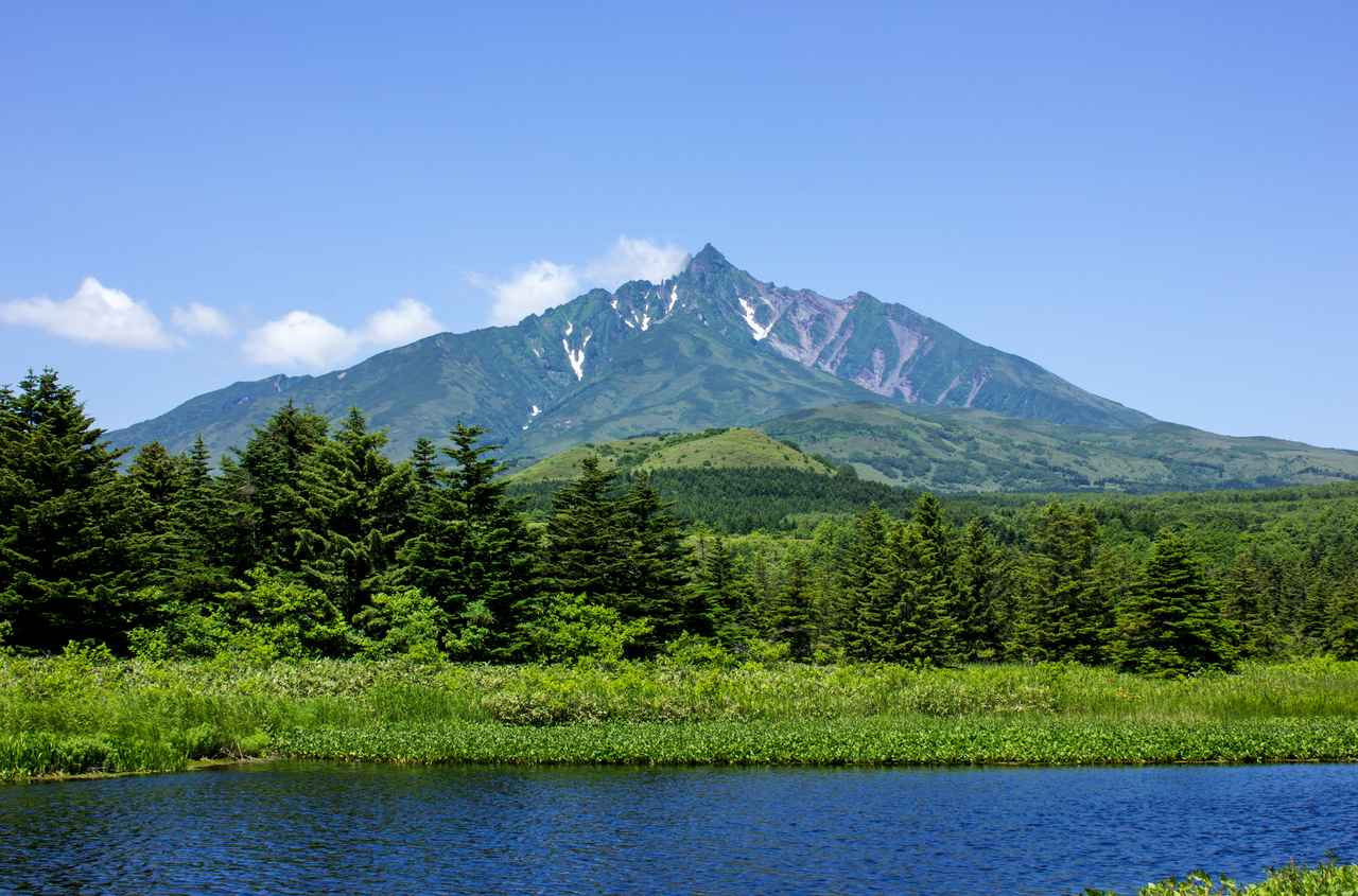 画像: 南浜湿原からの利尻富士