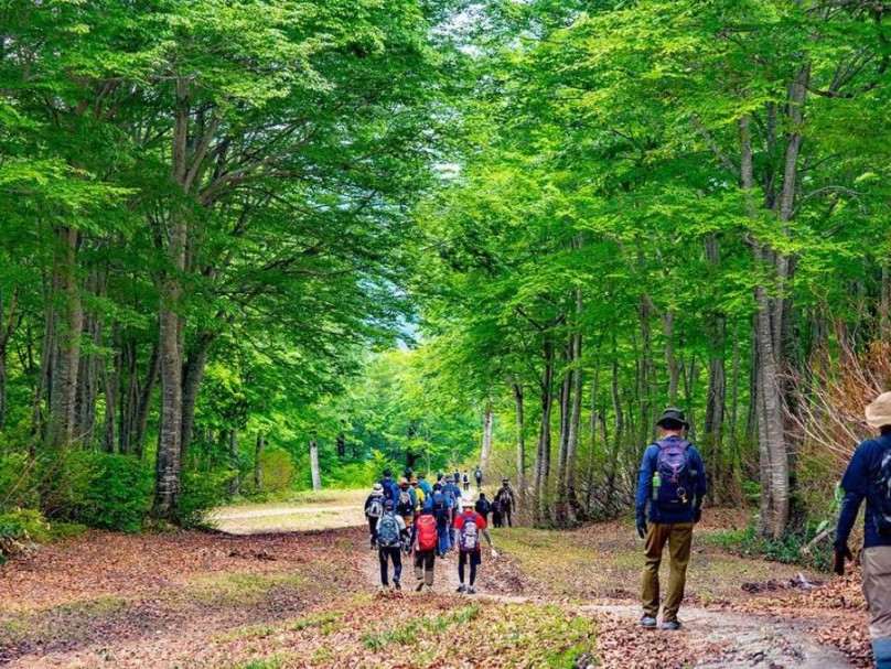 画像: ＜ハイク初級＞『許可なしでは入れない！奥只見丸山と遊覧船で行く尾瀬沼ハイキング　2日間』【東京出発】｜クラブツーリズム