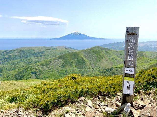 レブン”の名がつく花々が咲き誇る最盛期にご案内！ 礼文島・利尻島へ