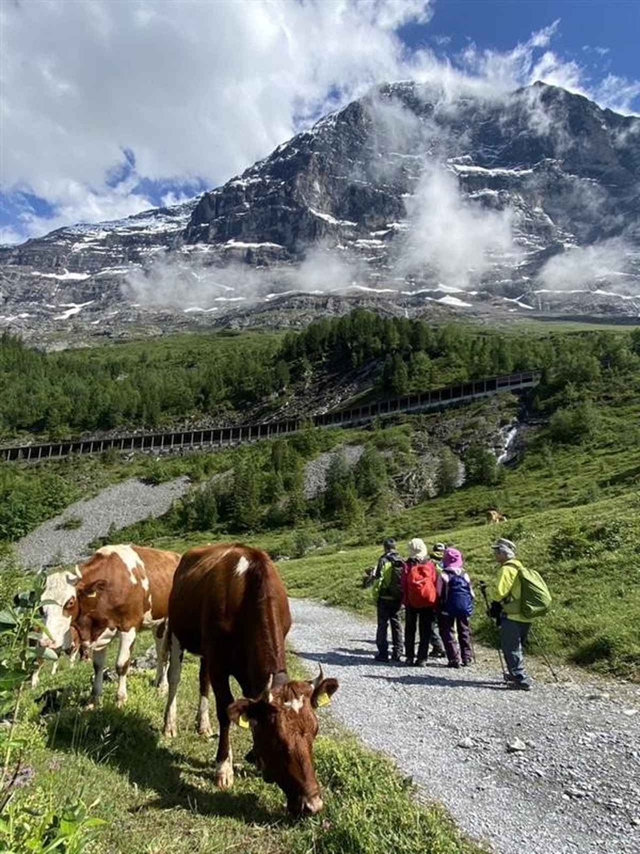 画像1: 【3日目】グリンデルワルト